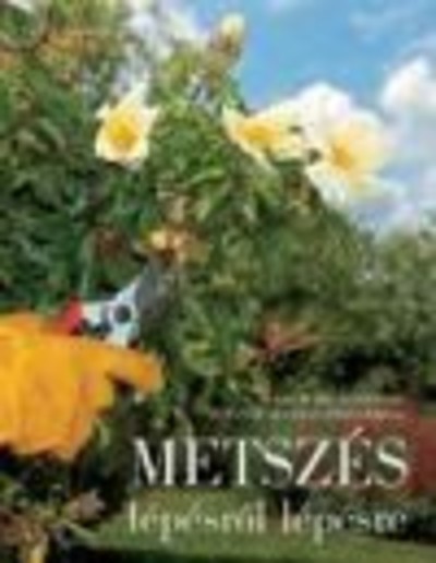 METSZÉS LÉPÉSRŐL LÉPÉSRE