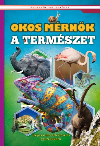 Okos mérnök a természet - Képes ismeretterjesztés gyerekeknek /Fedezzük fel együtt!