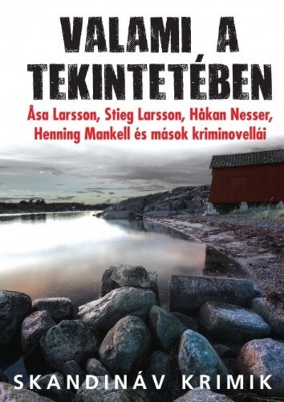 Valami a tekintetében /Skandináv krimik