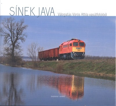 SÍNEK JAVA
