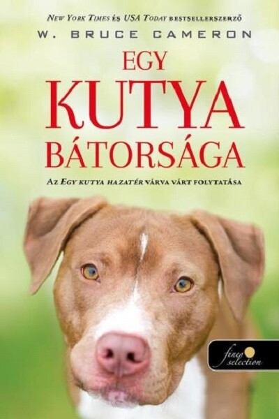 Egy kutya bátorsága - Egy kutya hazatér 2.