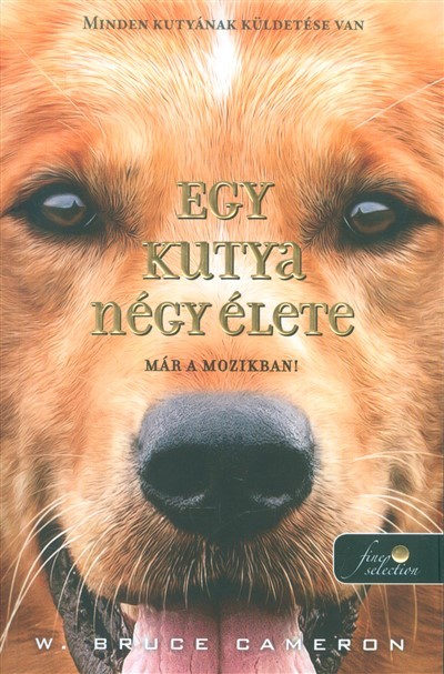 Egy kutya négy élete