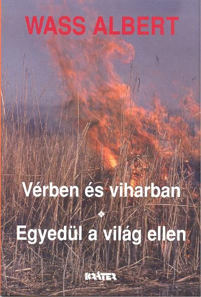 VÉRBEN ÉS VIHARBAN - EGYEDÜL A VILÁG ELLEN /KEMÉNY