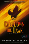 Call Down the Hawk - A sólyom nyomában - Álmodok-trilógia 1.