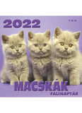 Macskák  Falinaptár 2022