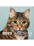 Macskák Falinaptár 2023.
