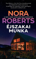 Éjszakai munka